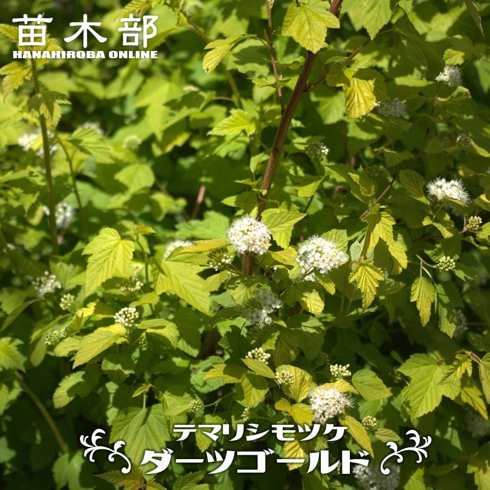 000000067917-01.jpg?size=l&w=