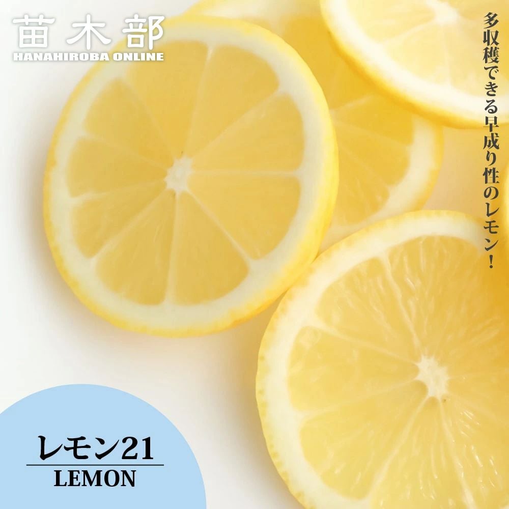 000000068453-01.jpg?size=m&w=