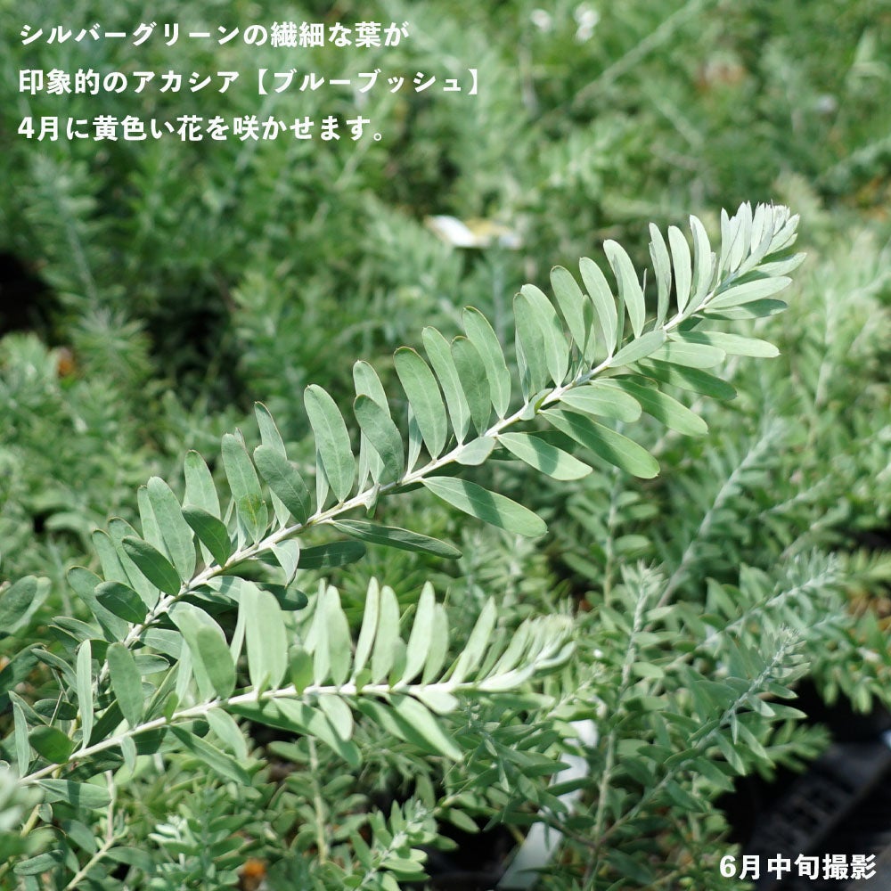 000000068609-02.jpg?size=l&w=