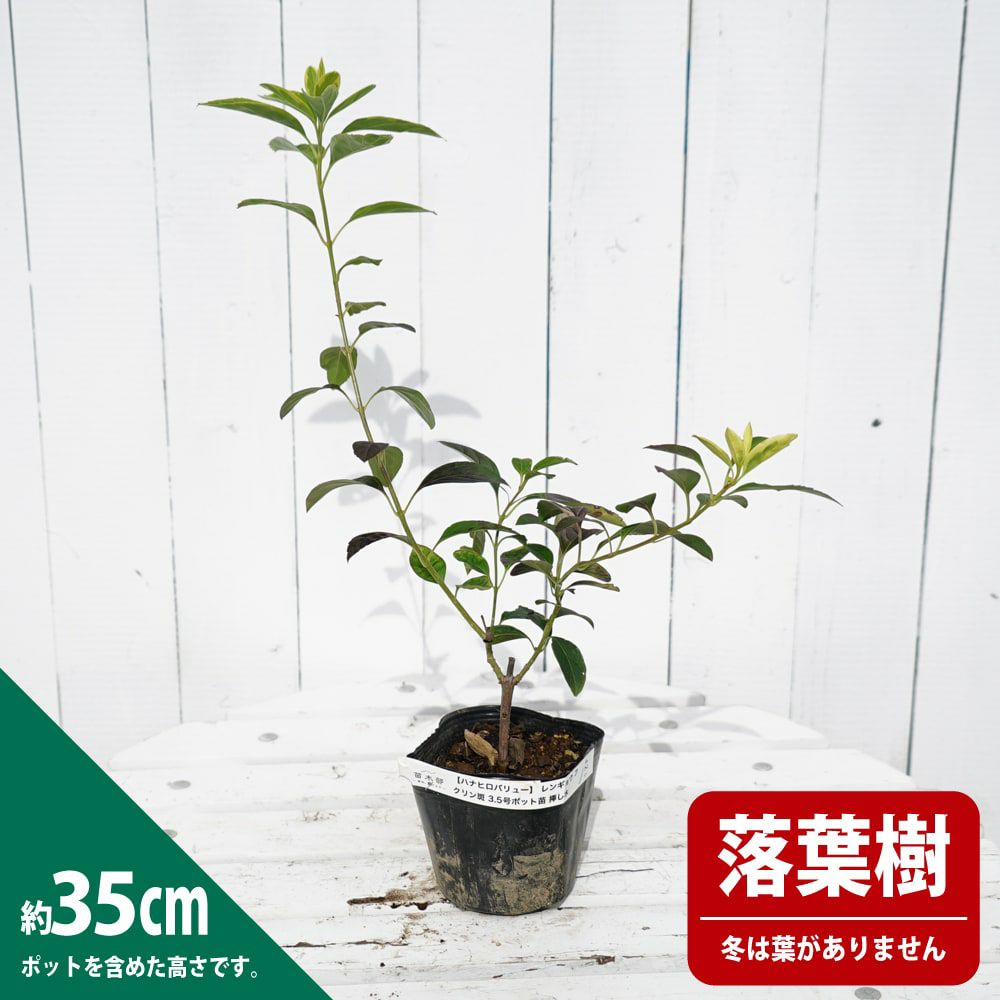 000000068834-03.jpg?size=l&w=