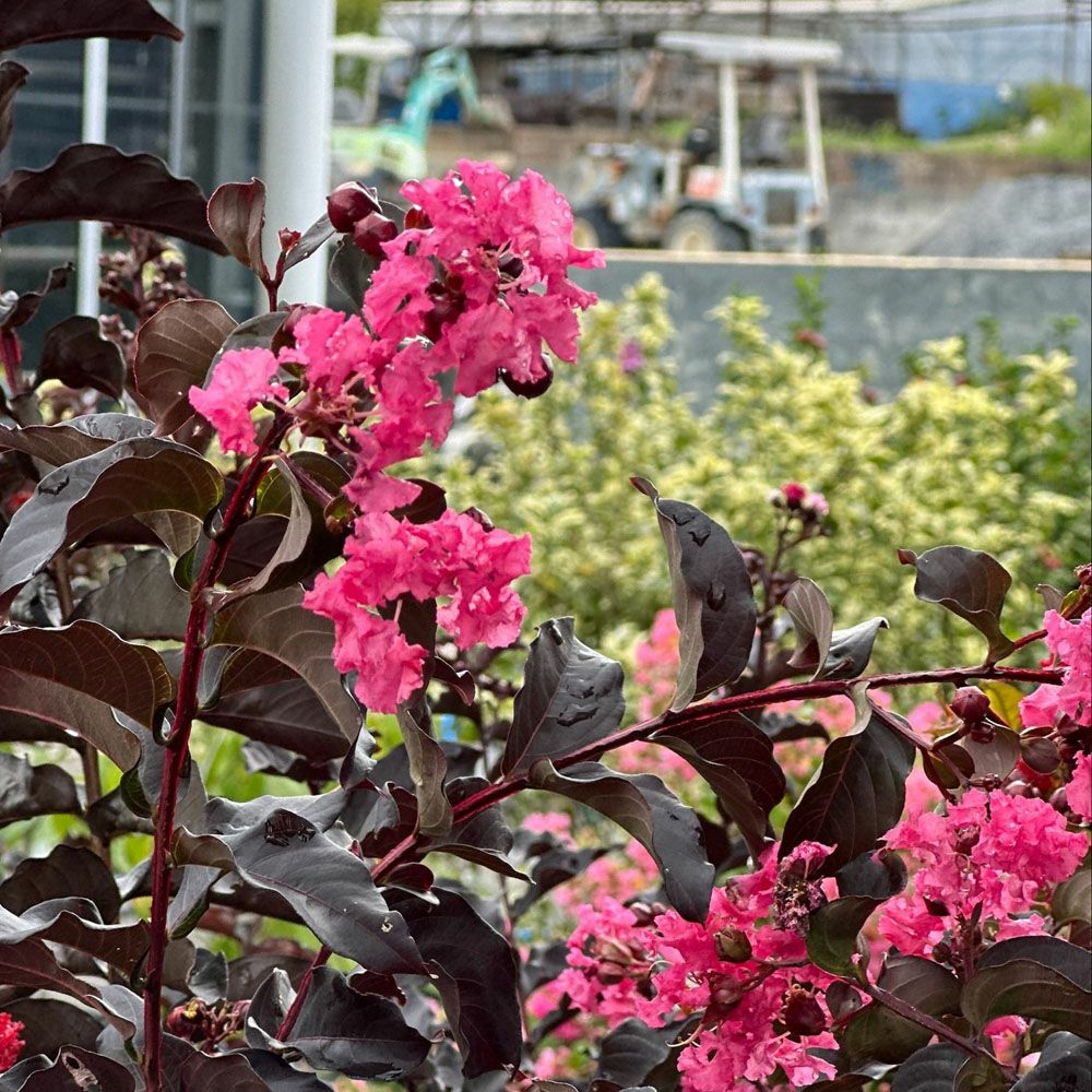 000000069745-04.jpg?size=l&w=