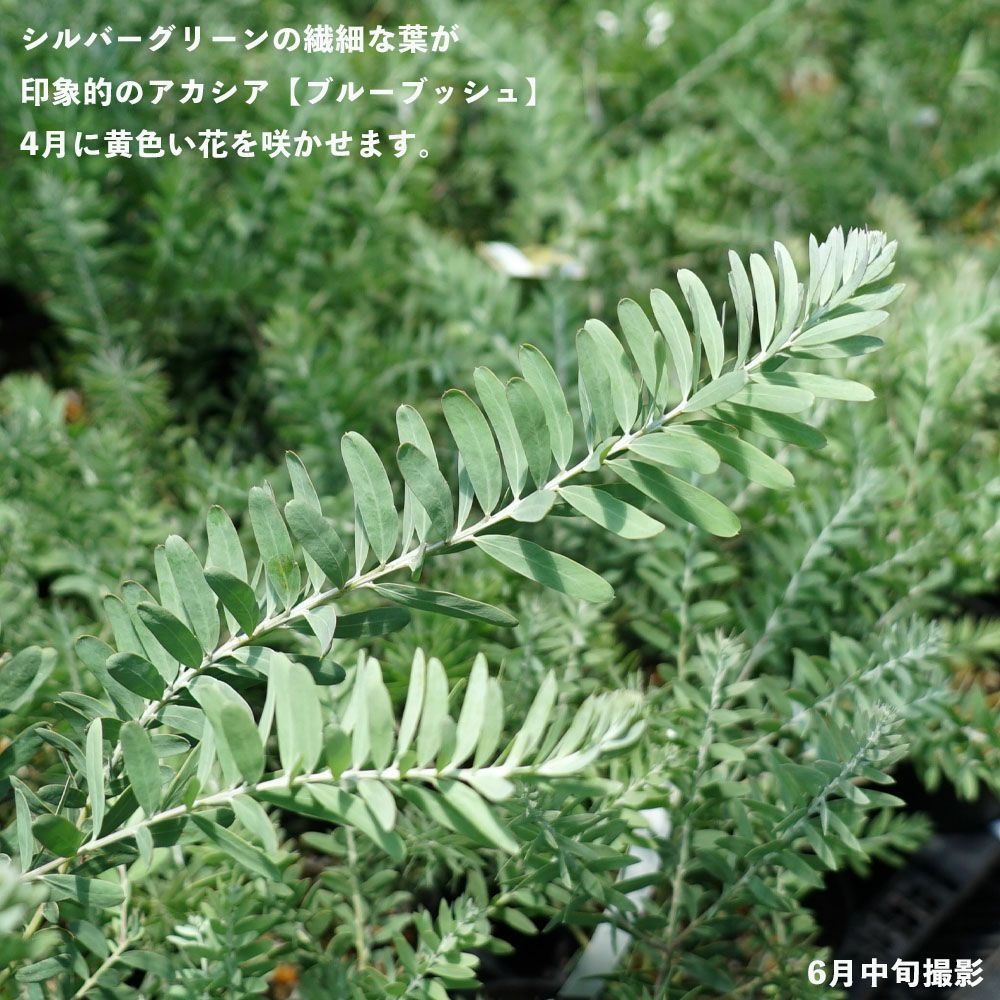 000000069804-02.jpg?size=l&w=