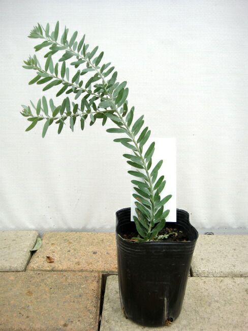 000000069804-03.jpg?size=l&w=