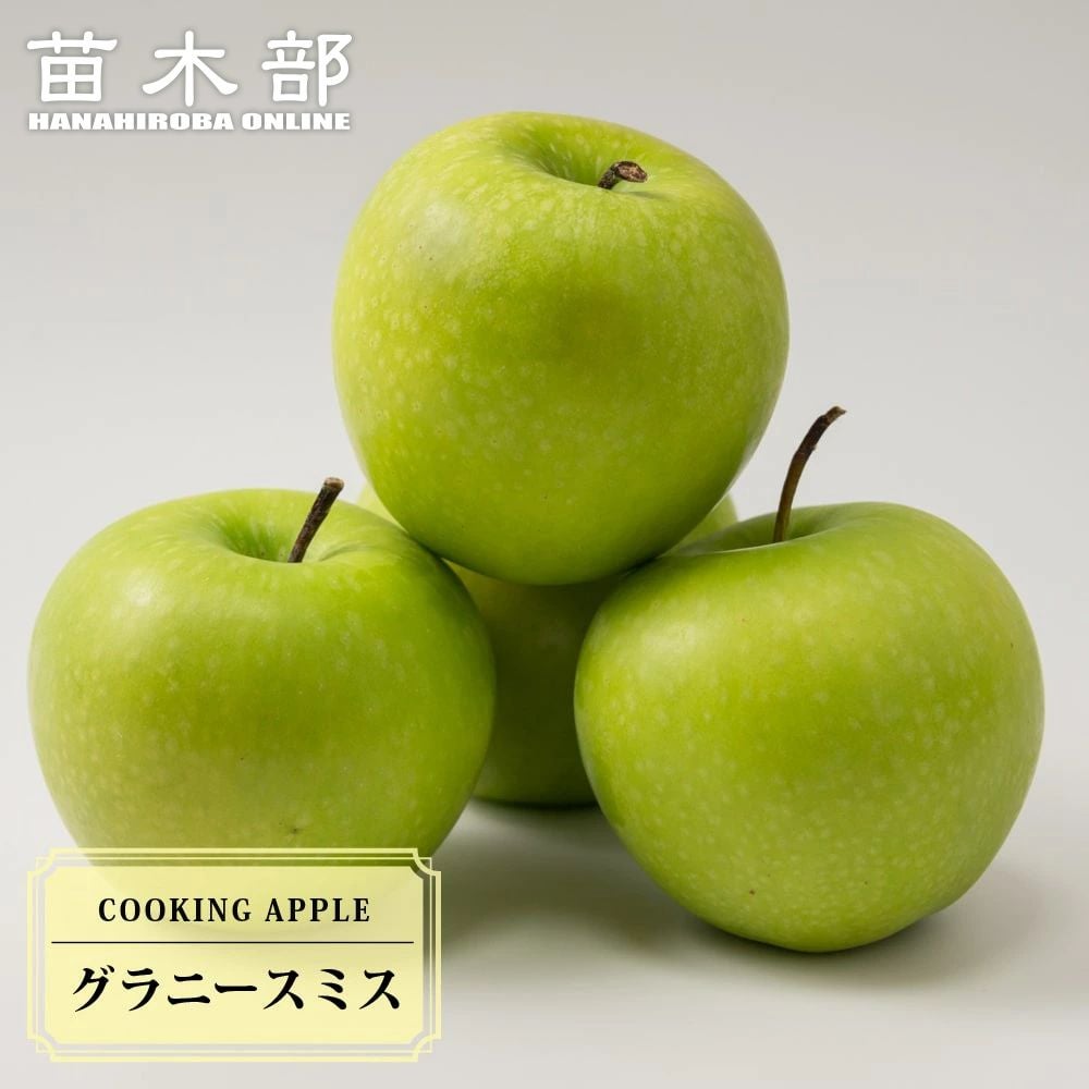 リンゴ クッキングアップル グラニースミス 苗 通販 苗木部 By 花