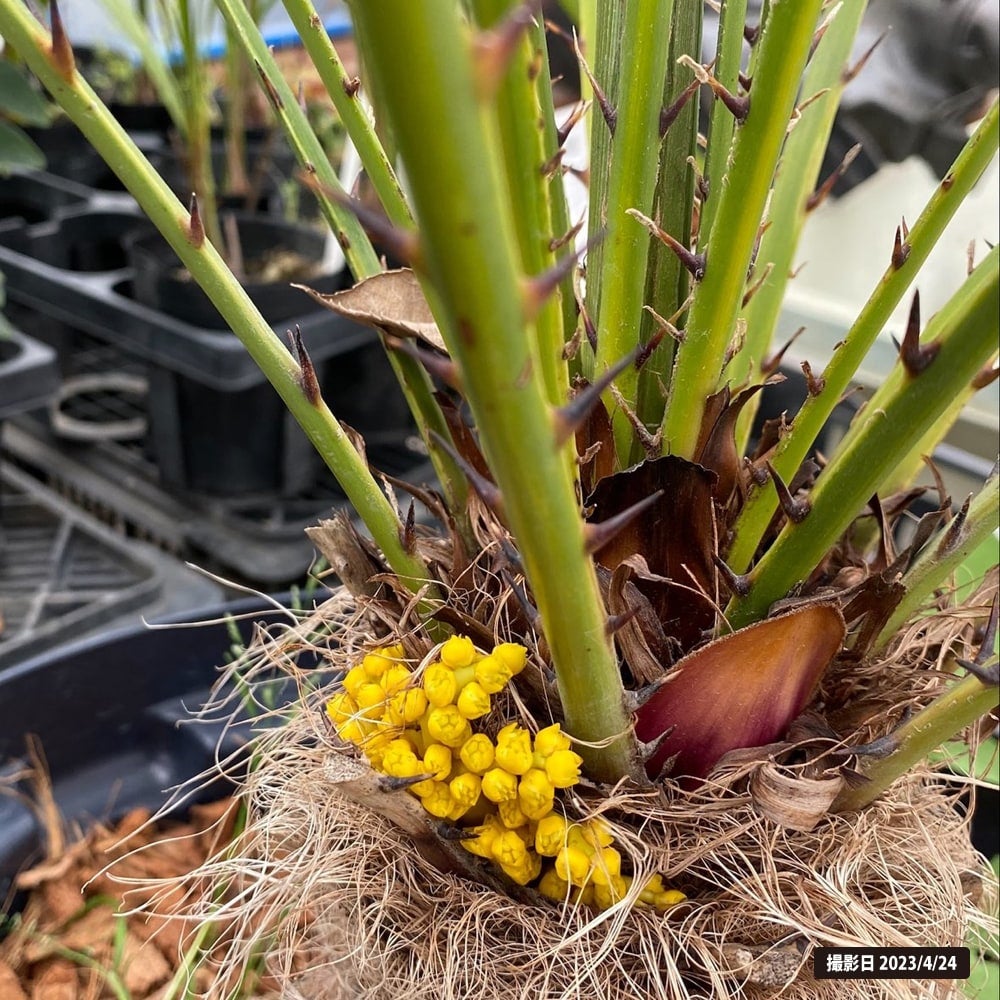 000000073173-07.jpg?size=l&w=