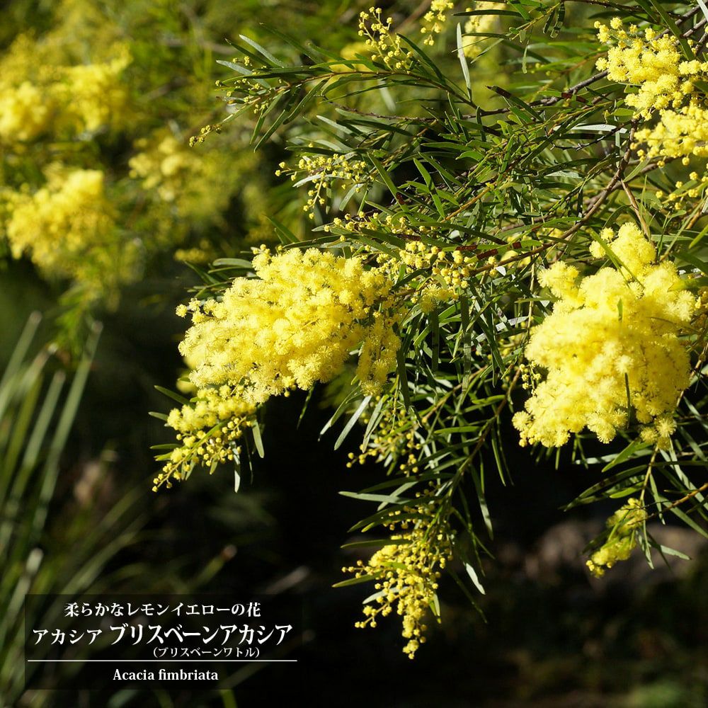 000000073840-01.jpg?size=l&w=