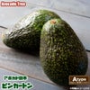 アボカド ピンカートン