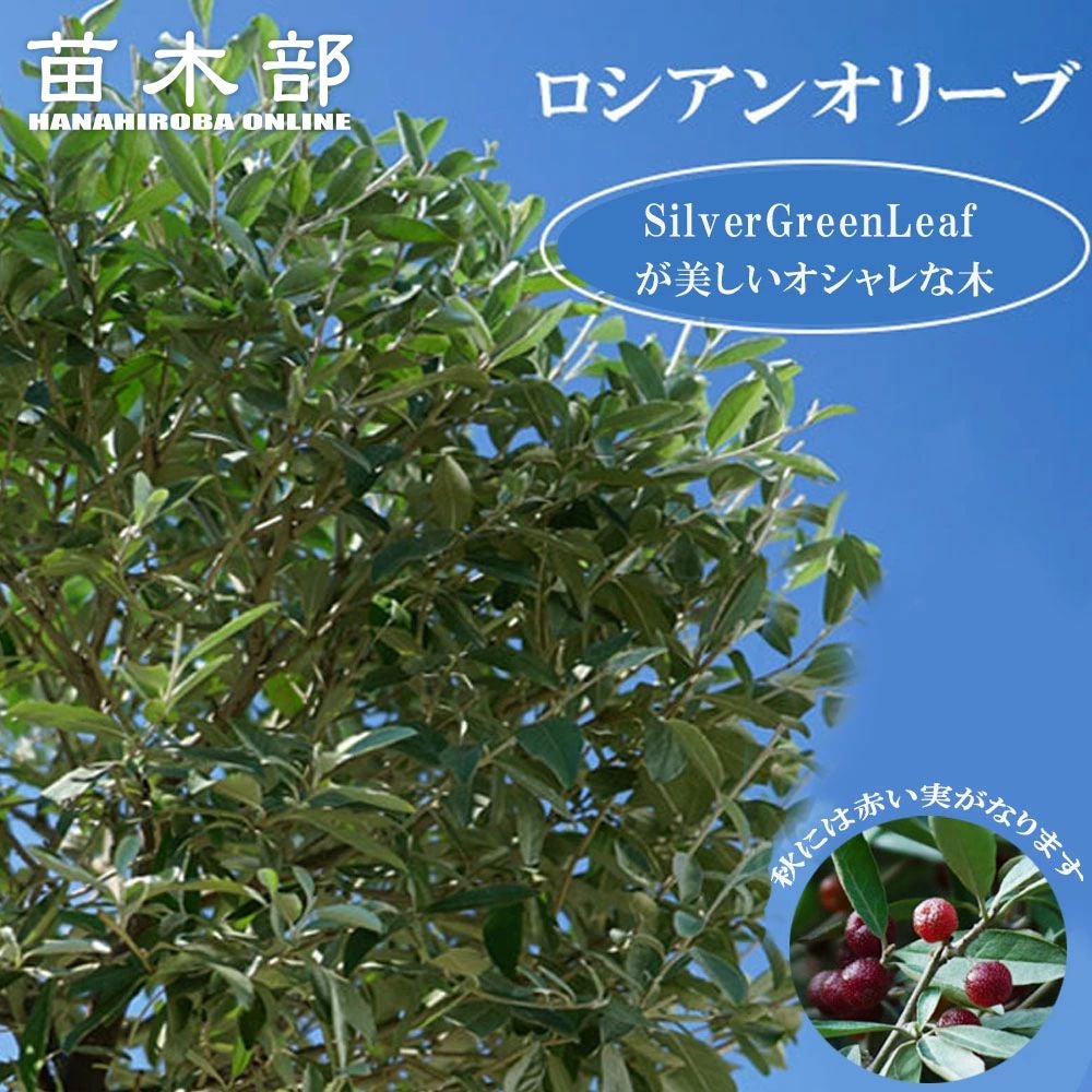 000000075155-01.jpg?size=l&w=