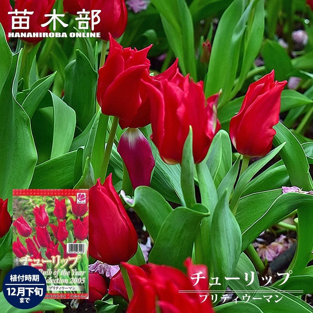 000000075731-01.jpg?size=m&w=