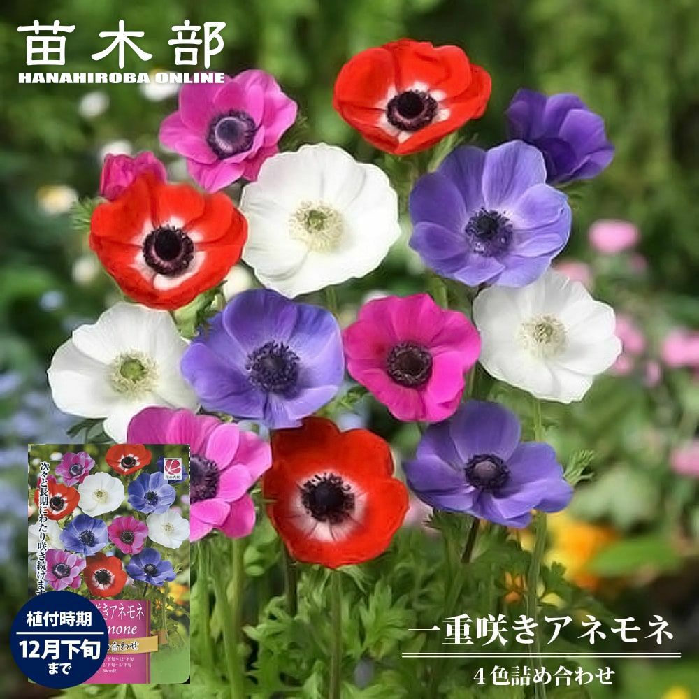 000000075855-01.jpg?size=m&w=