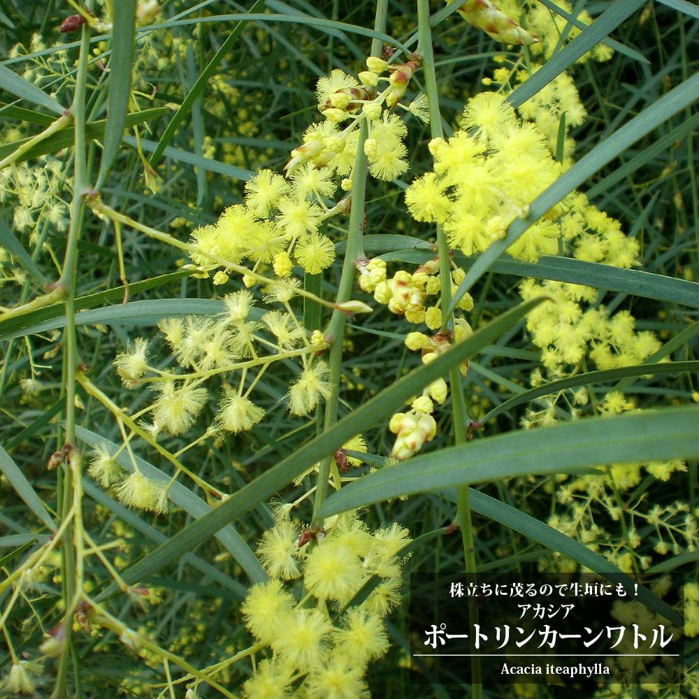 000000076468-01.jpg?size=l&w=