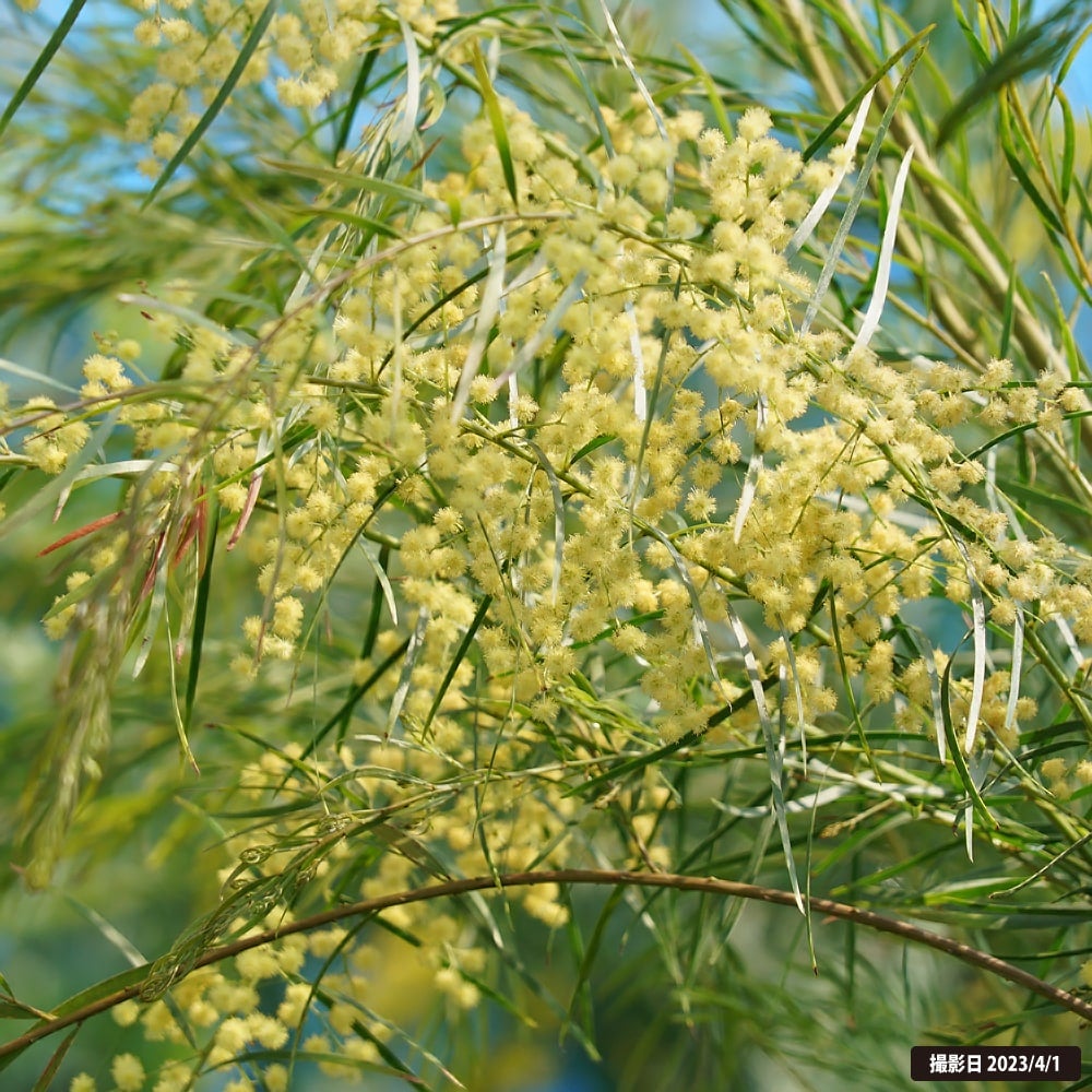 000000076471-05.jpg?size=l&w=