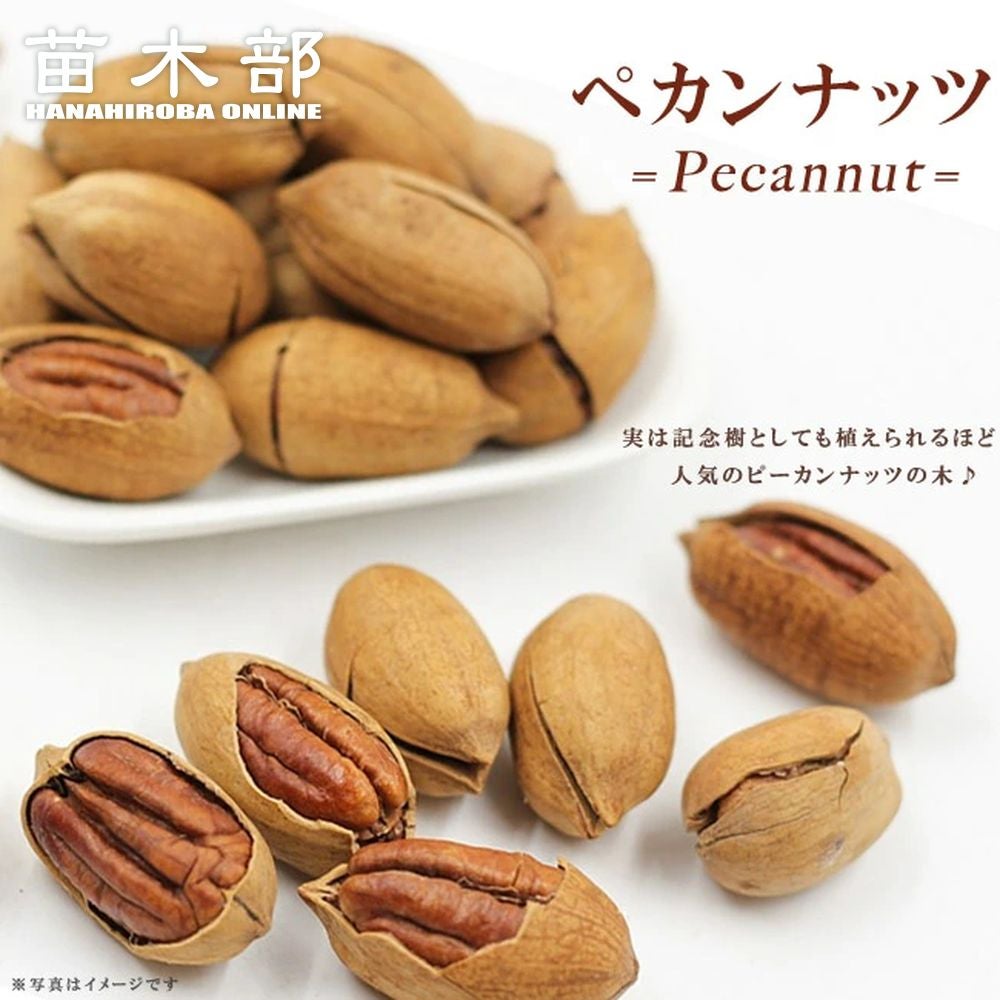 000000076817-01.jpg?size=l&w=