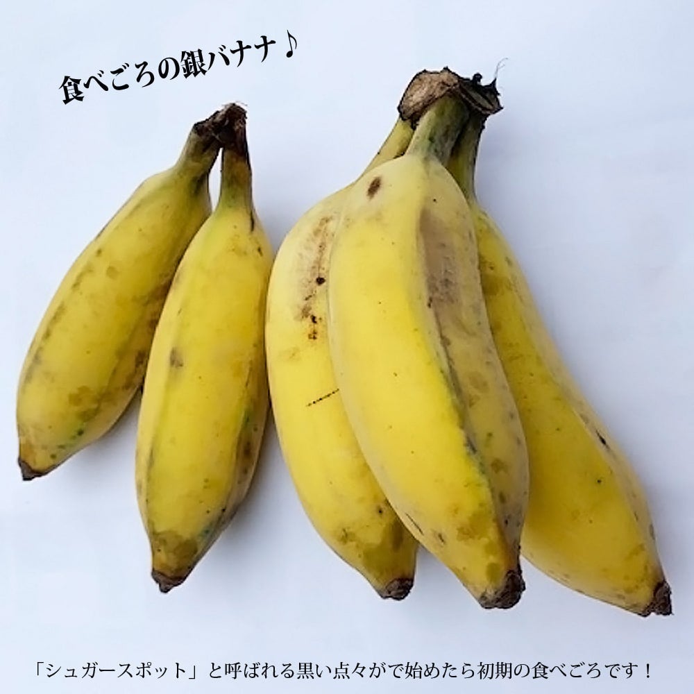 000000077218-07.jpg?size=l&w=