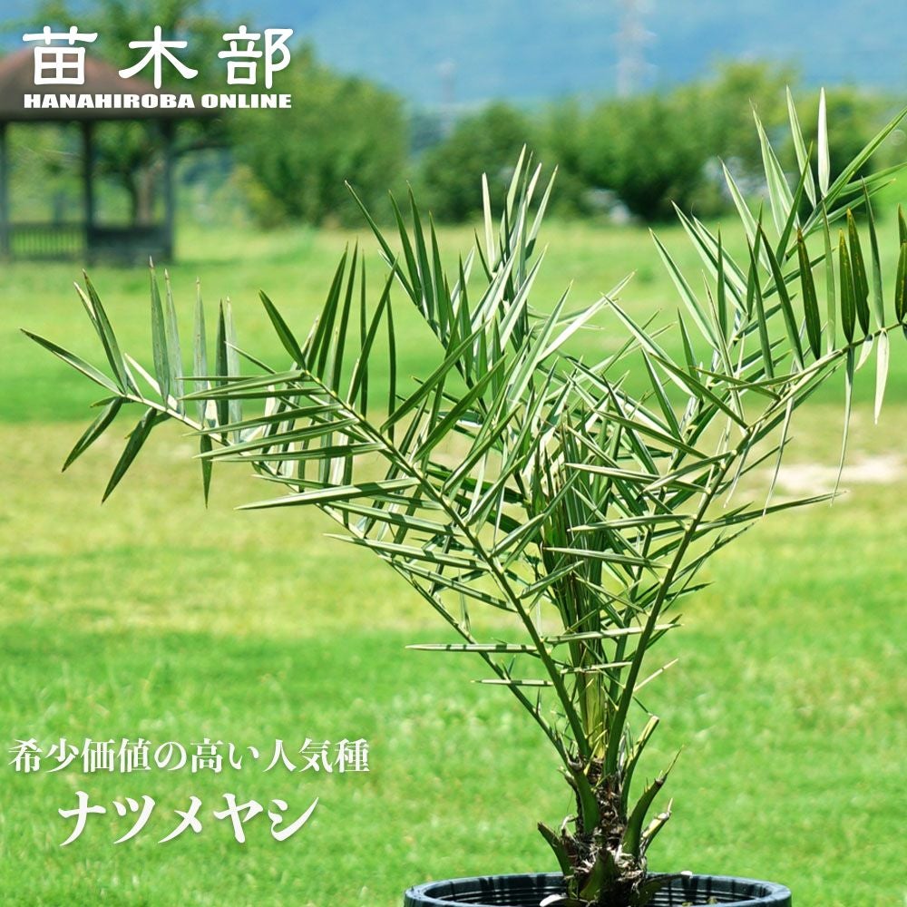 000000078605-01.jpg?size=l&w=