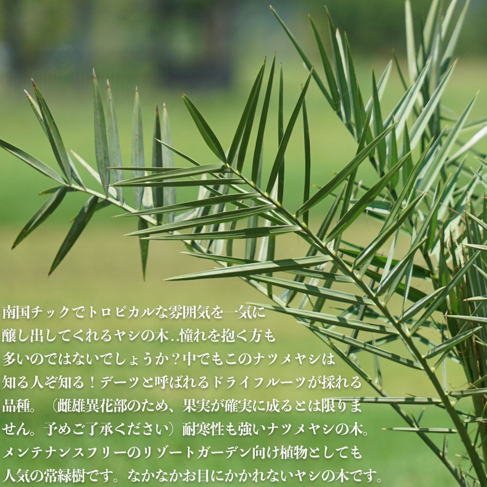 000000078605-02.jpg?size=l&w=