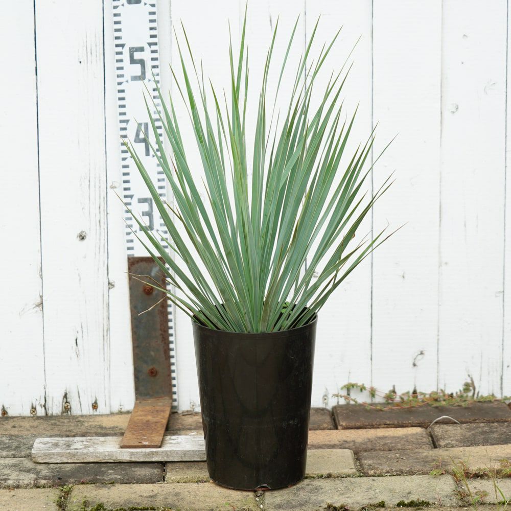 000000079057-03.jpg?size=l&w=