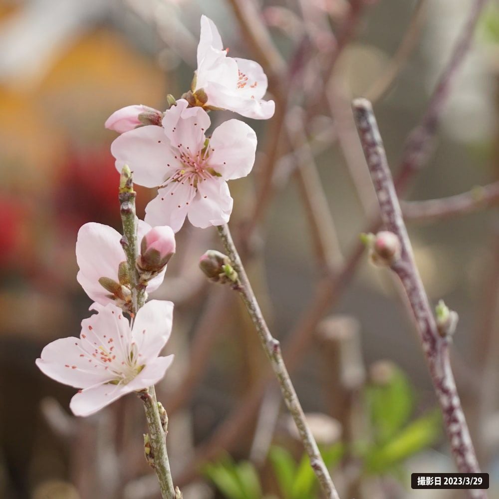 000000079544-04.jpg?size=l&w=