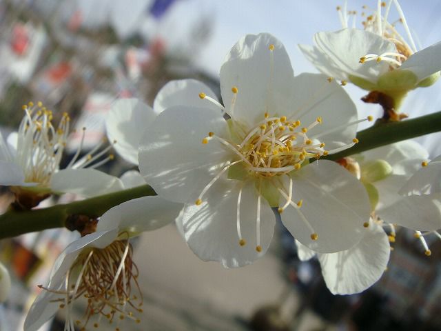 000000079545-02.jpg?size=l&w=