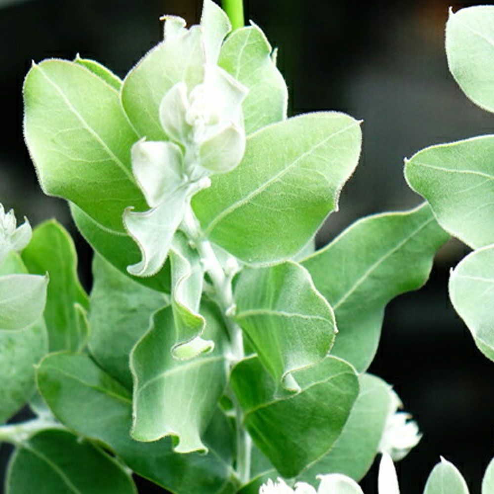 000000079577-06.jpg?size=l&w=