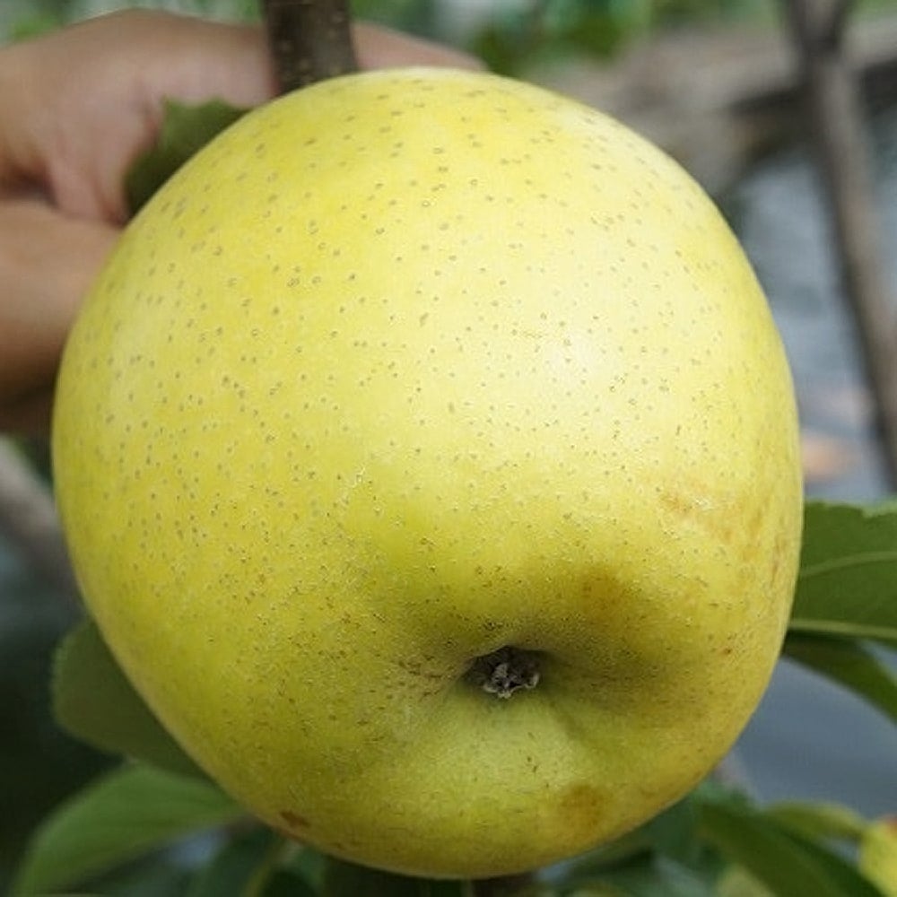 000000079592-02.jpg?size=l&w=