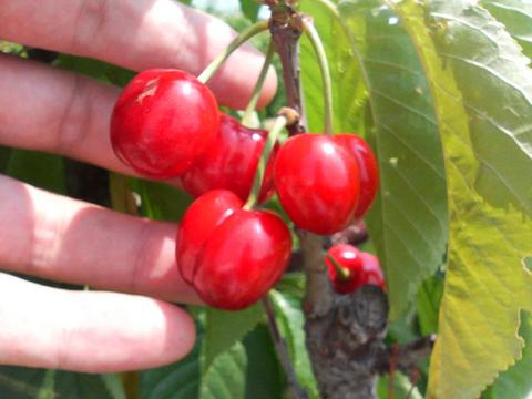 000000079597-02.jpg?size=l&w=