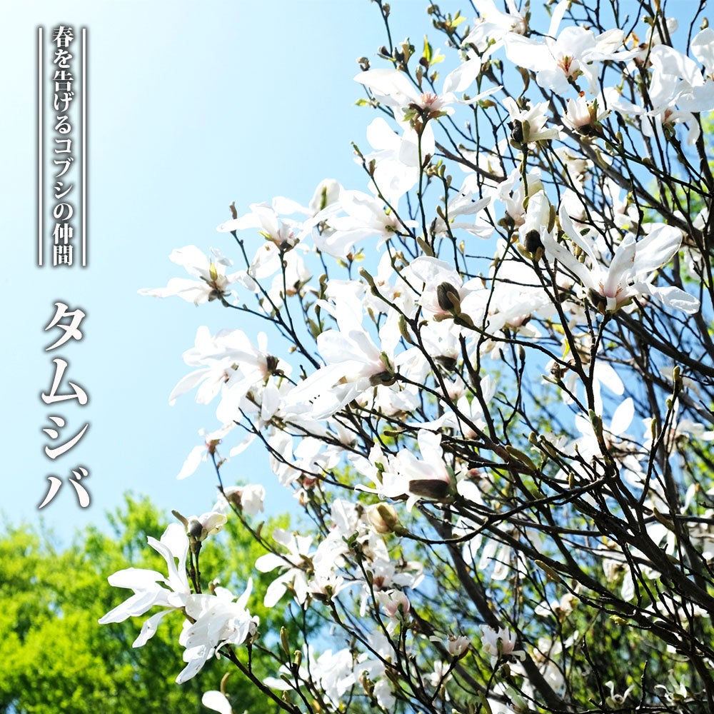 000000081595-01.jpg?size=l&w=