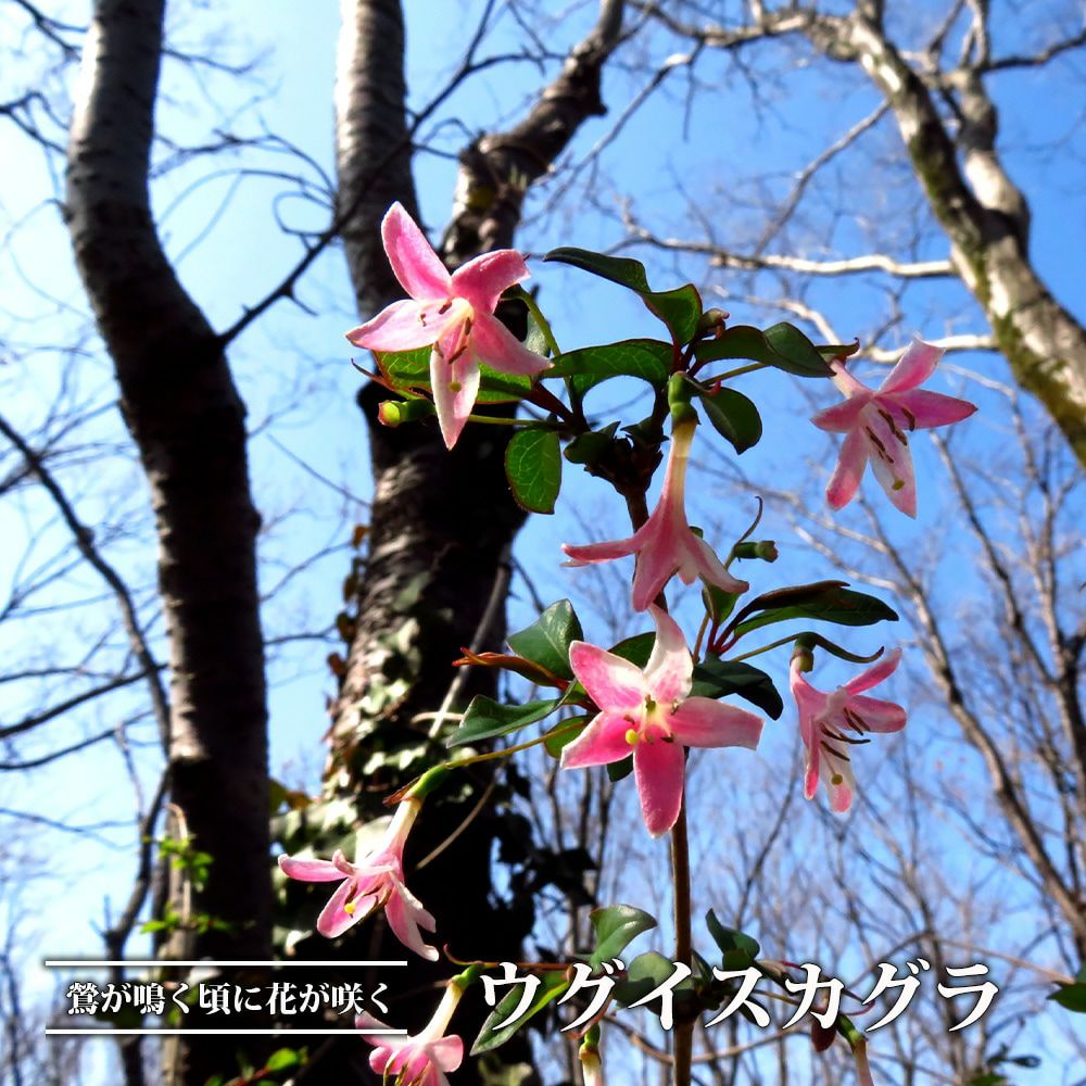 000000081596-01.jpg?size=m&w=