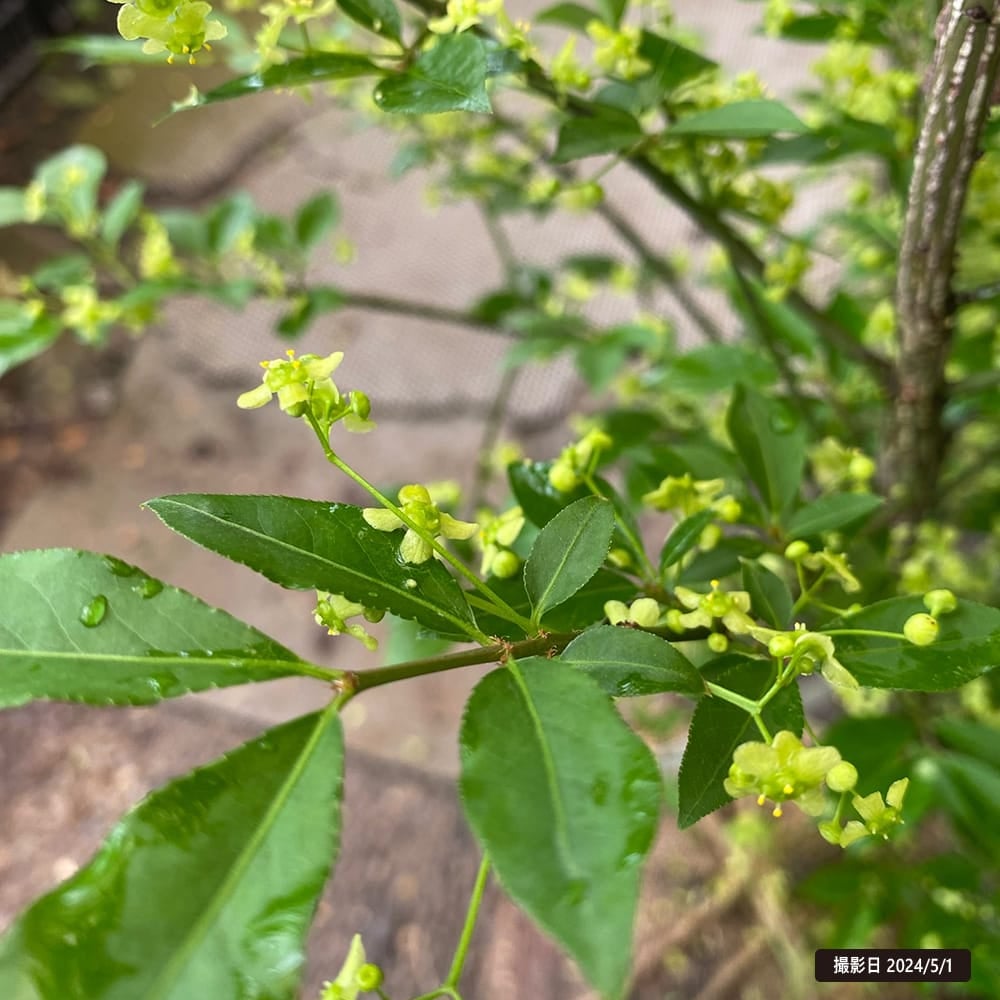 000000082314-06.jpg?size=l&w=