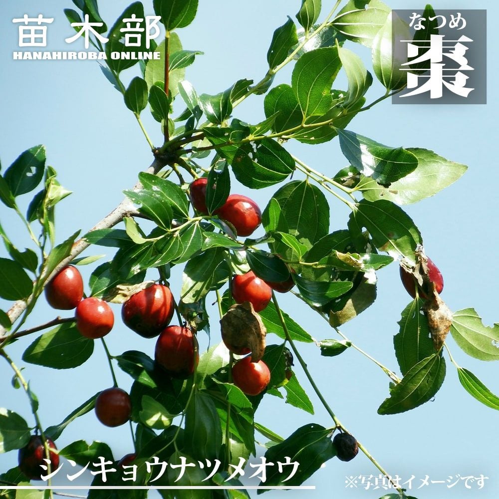 000000082973-01.jpg?size=l&w=