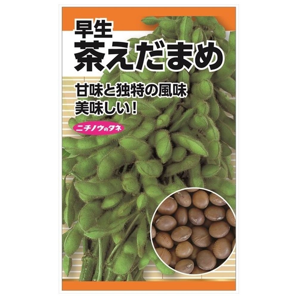 えだまめ(発送遅れております) 枝豆 枝豆の通販 苗木部 By 花ひろばオンライン