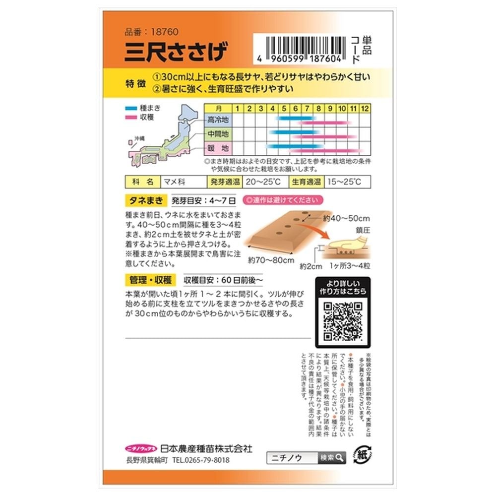 ササゲ 三尺ささげ 苗 販売 苗木部 By 花ひろばオンライン