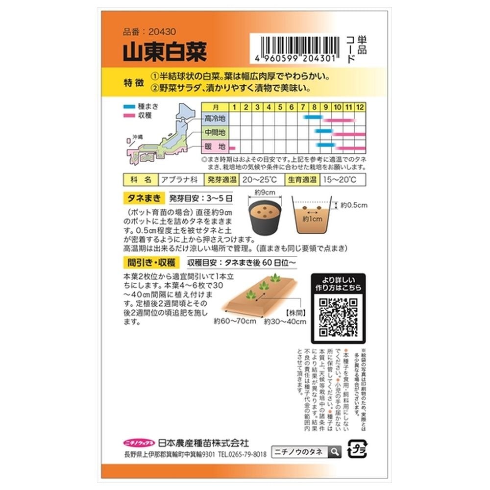 白菜 山東白菜 苗 販売 苗木部 By 花ひろばオンライン