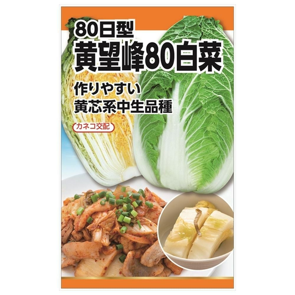 黄望峰80白菜の通販 苗木部 By 花ひろばオンライン