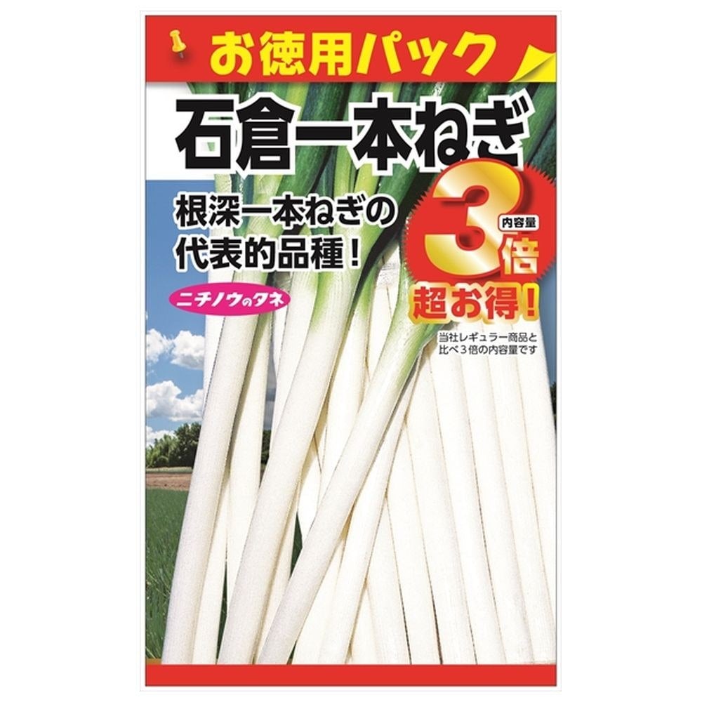 ねぎ 石倉一本ねぎの販売 苗木部 By 花ひろばオンライン