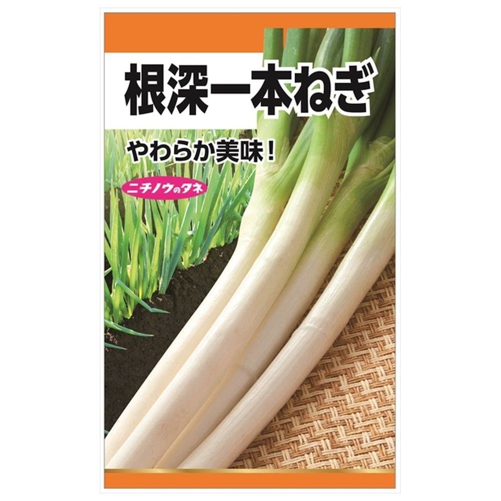 ねぎ 根深一本ねぎの通販 苗木部 By 花ひろばオンライン