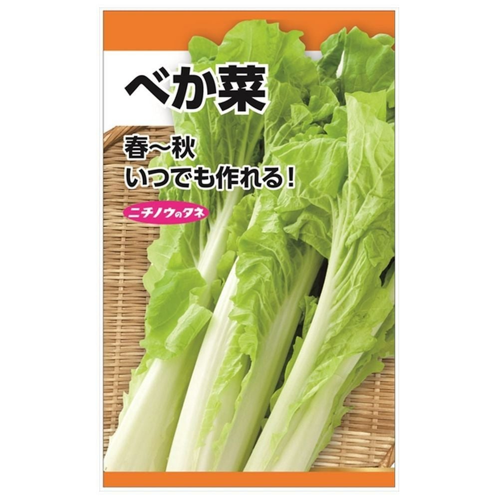 三池高菜の通販 苗木部 By 花ひろばオンライン