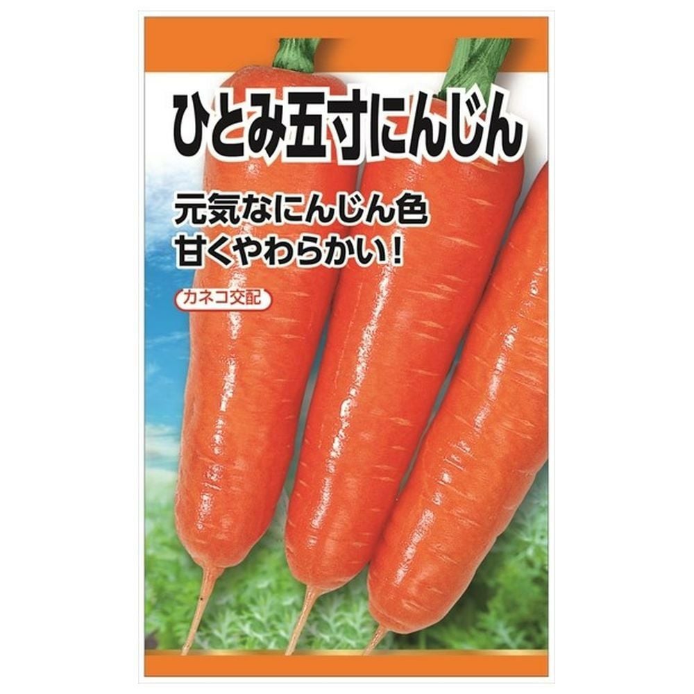 にんじん ひとみ五寸にんじんの通販 苗木部 By 花ひろばオンライン