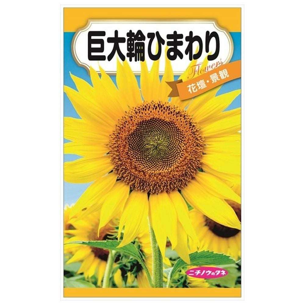 000000085111-01.jpg?size=l&w=