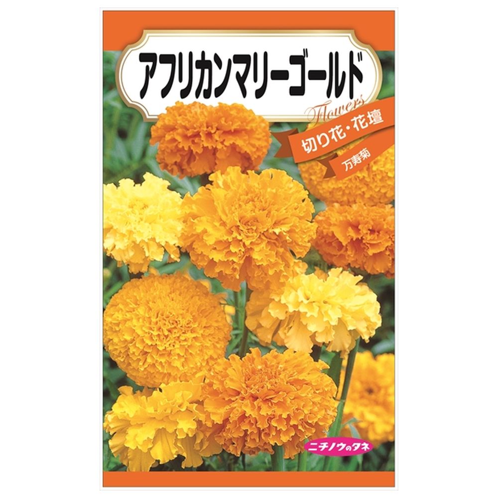 000000085338-01.jpg?size=m&w=