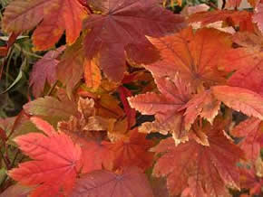 000000085692-06.jpg?size=l&w=