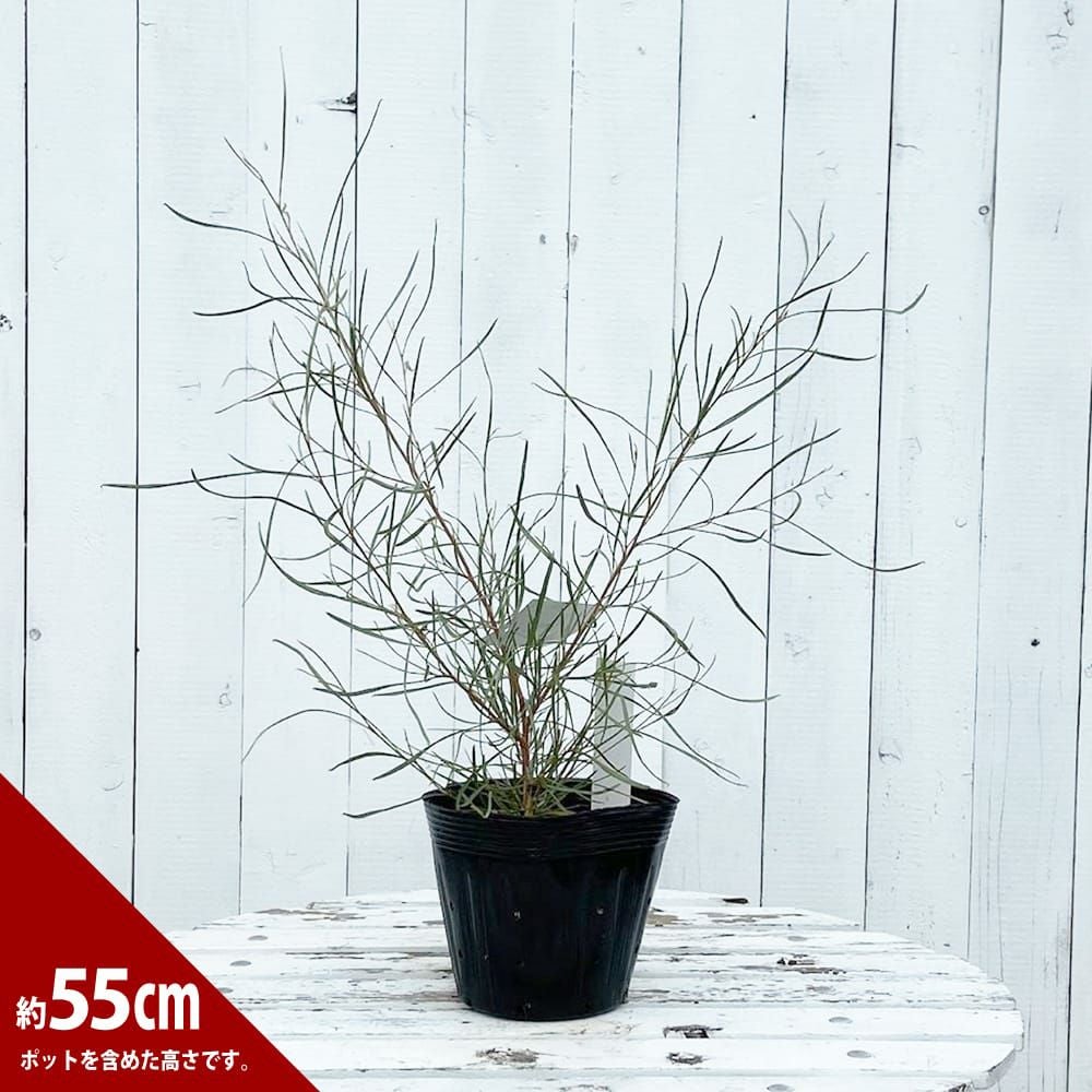 000000086035-04.jpg?size=l&w=