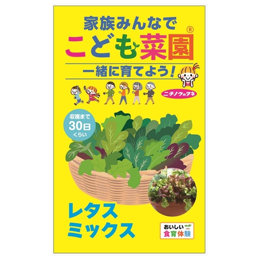 レタス こども菜園 レタスミックスの通販 苗木部 By 花ひろばオンライン