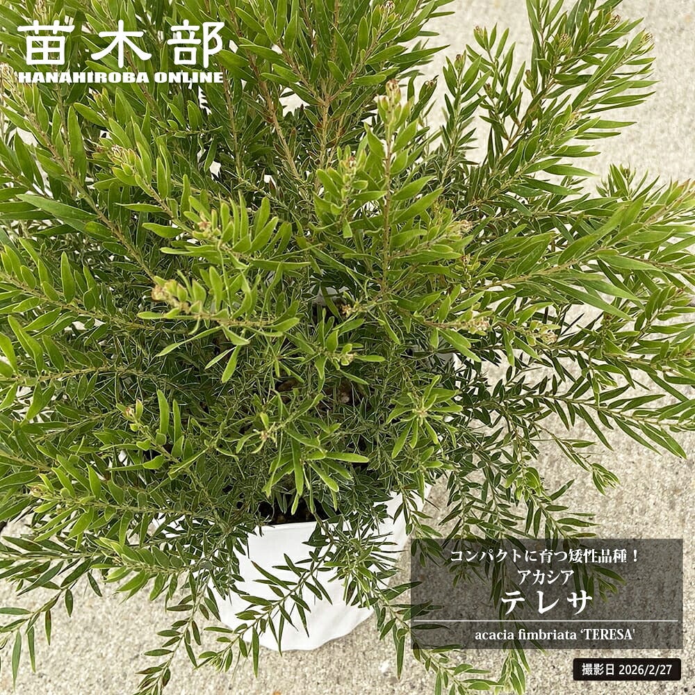 000000087053-01.jpg?size=l&w=