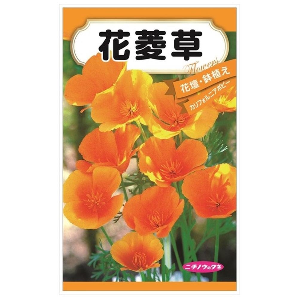 000000087172-01.jpg?size=l&w=