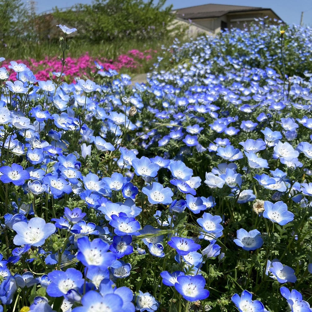 000000087407-02.jpg?size=l&w=