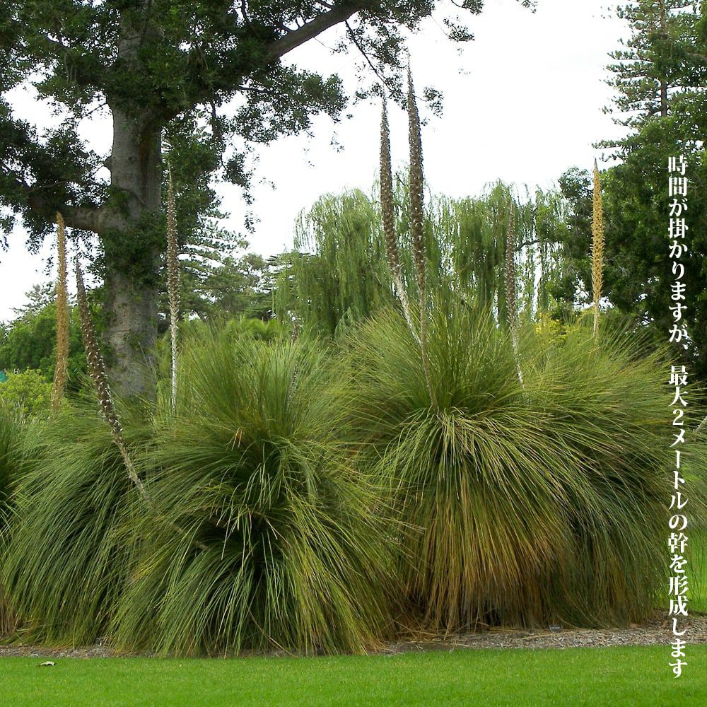 000000087871-04.jpg?size=l&w=