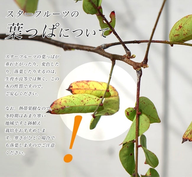 000000088194-07.jpg?size=l&w=