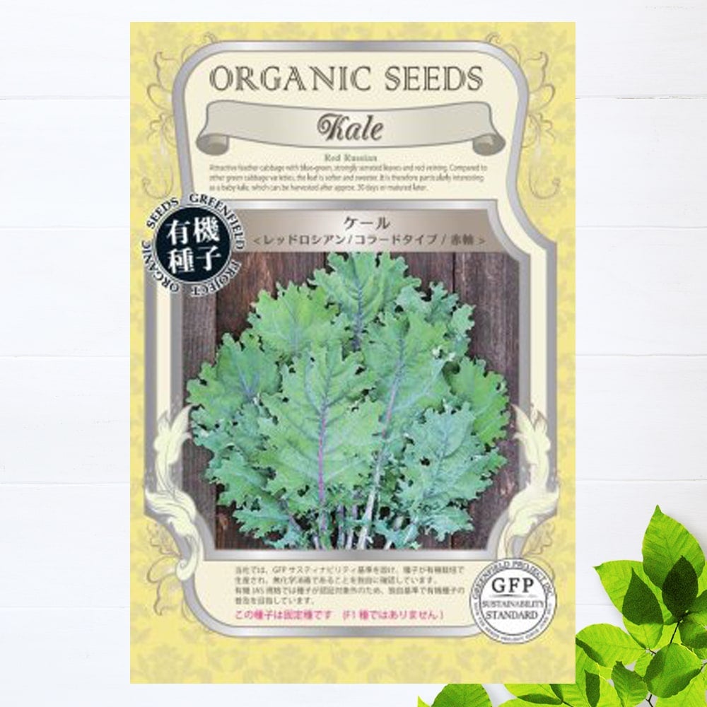 マロウ コモンマロウの通販 苗木部 By 花ひろばオンライン