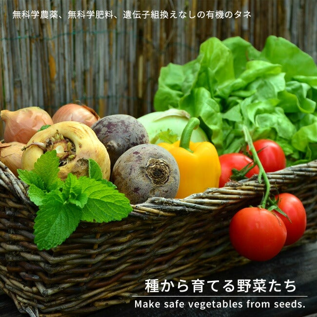 000000089847-03.jpg?size=l&w=